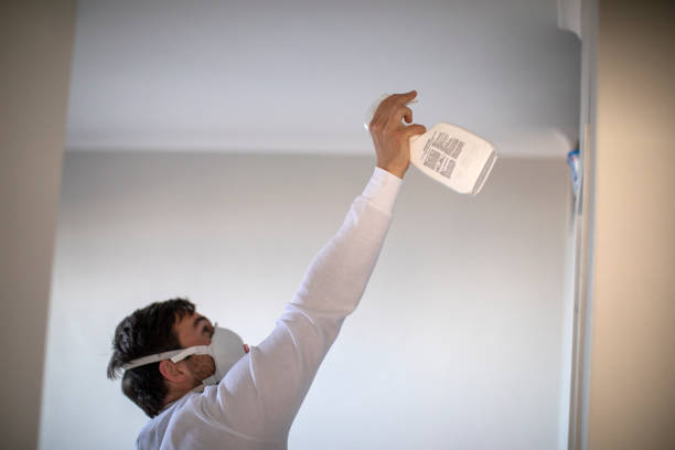 Best Professional Mold Removal  in Parshall, ND