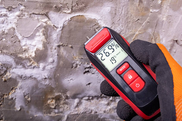 Best Professional Mold Removal  in Parshall, ND