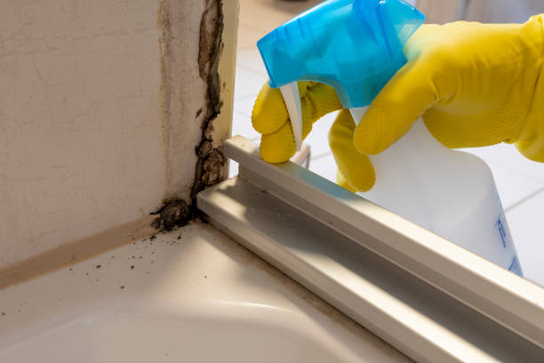 Best Water Damage Restoration  in Parshall, ND