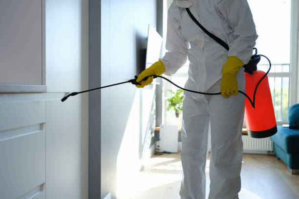Best Best Mold Removal Companies  in Parshall, ND
