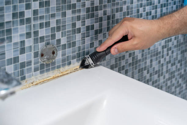 Best Emergency Mold Removal  in Parshall, ND