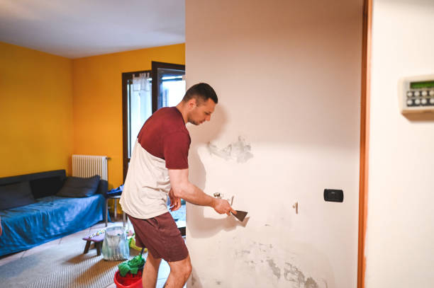 Best Commercial Mold Removal  in Parshall, ND