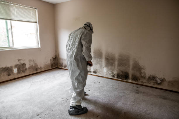 Best Mold Cleaning Services  in Parshall, ND
