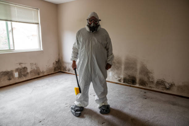 Best Fast Mold Removal  in Parshall, ND